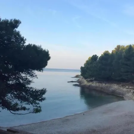 Tatil Evi Wonderful In *